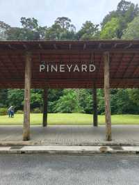 Dining with Natural at Pineyard Café