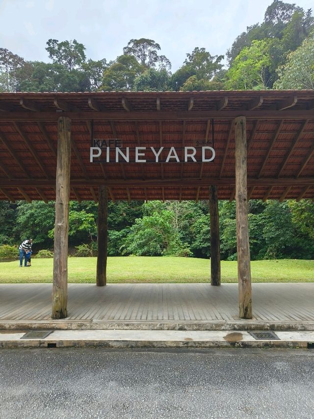 Dining with Natural at Pineyard Café