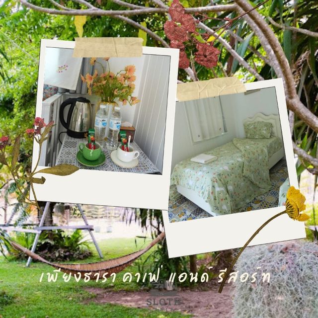 🌳 เเพียงธารา คาเฟ่ แอนด์ รีสอร์ท