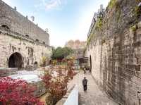“Blossoms on the Battlements: Nanjing City Wall’s Springtime Legacy” 