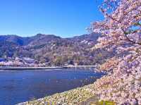 🍃 Arashiyama Adventure: Bamboo Forests, Secret Spots & Bridge Selfies! 🌉