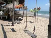 MORE THAN BEACH & CAFE 
