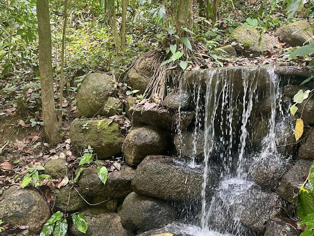 🌿 Spice Up Your Life: A Wild & Whimsical Day at Tropical Spice Garden, Penang!  
