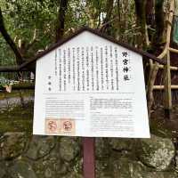 🇯🇵【京都】パワースポット！野宮神社！良縁、子宝、学問の神様♪(^^)