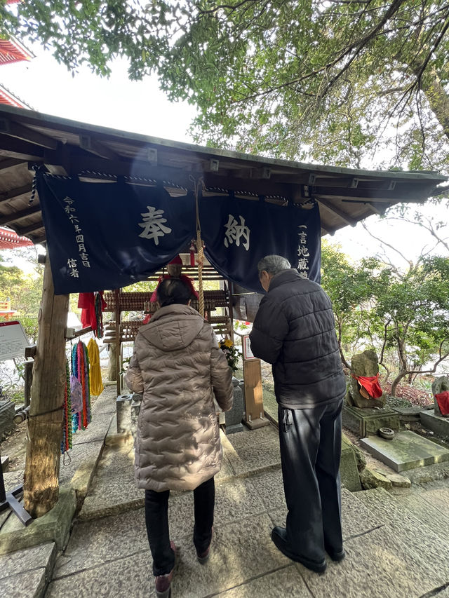 【高知】毎年訪れる私が提案する1Dayプラン✨