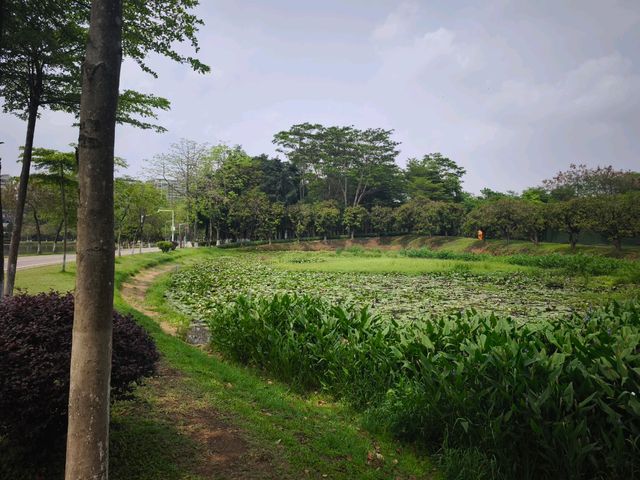 松山湖