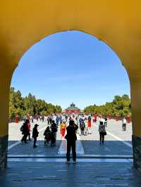  A Walk Through Harmony: Spring Reflections at Temple of Heaven Park