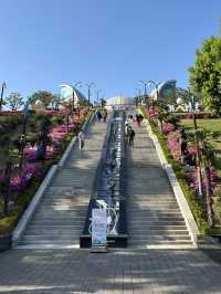 🏝️아름다운 야자수와 꽃들, 휴양지감성의 강원도 삼척 명소 여행가이드추천 💐