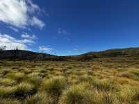 5 days Tasmania Itinerary with Arrival at Launceston and depart from Hobart