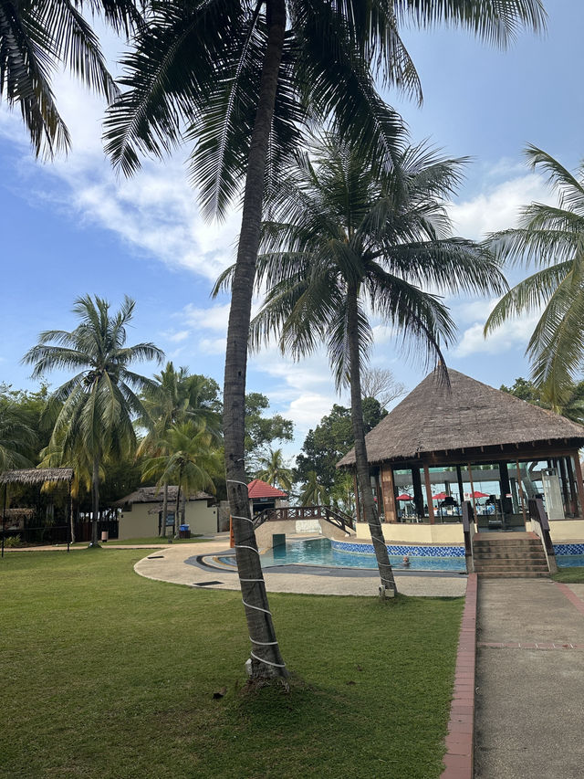 Best nature view hotel ! 