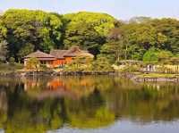 Hamarikyu Garden Stroll