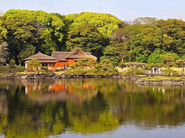 Hamarikyu Garden Stroll