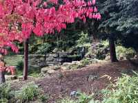 Unwind at Highfields Park