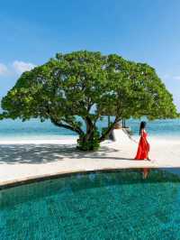 Paradise Perfected:  Four Seasons Resort Maldives at Kuda Huraa