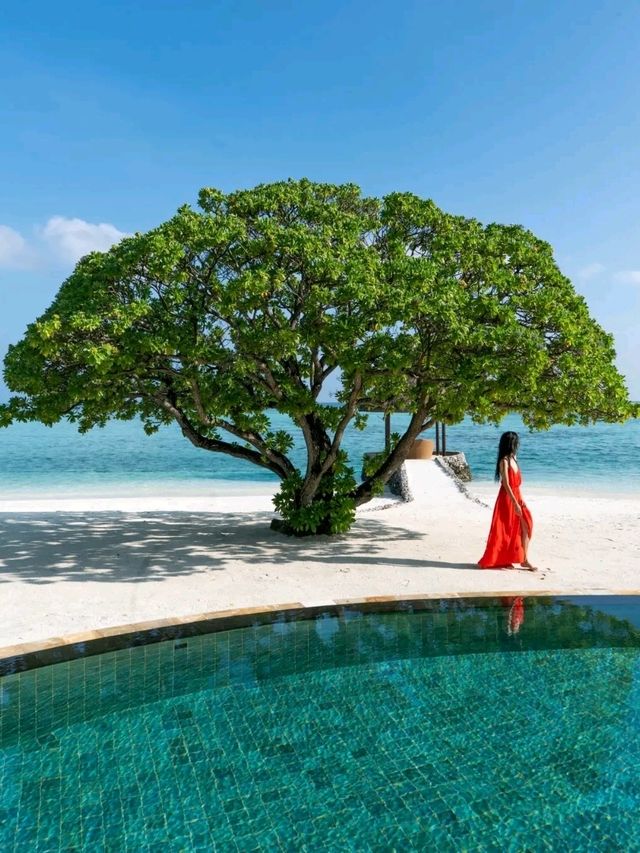 Paradise Perfected:  Four Seasons Resort Maldives at Kuda Huraa
