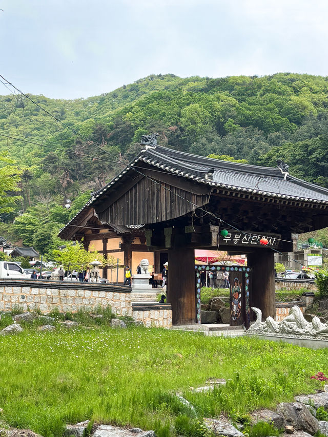 🪷부처님 오신날에 여긴 꼭 가야죠!🪷
