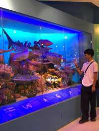 Museum 