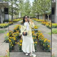 A Scented Escape at Rumah Atsiri 
