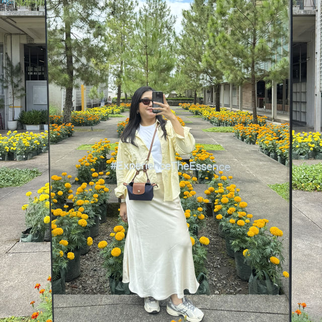 A Scented Escape at Rumah Atsiri 