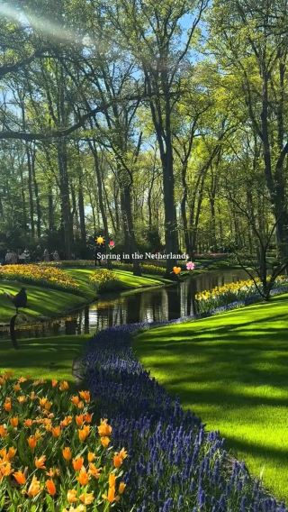 Keukenhof, Lisse