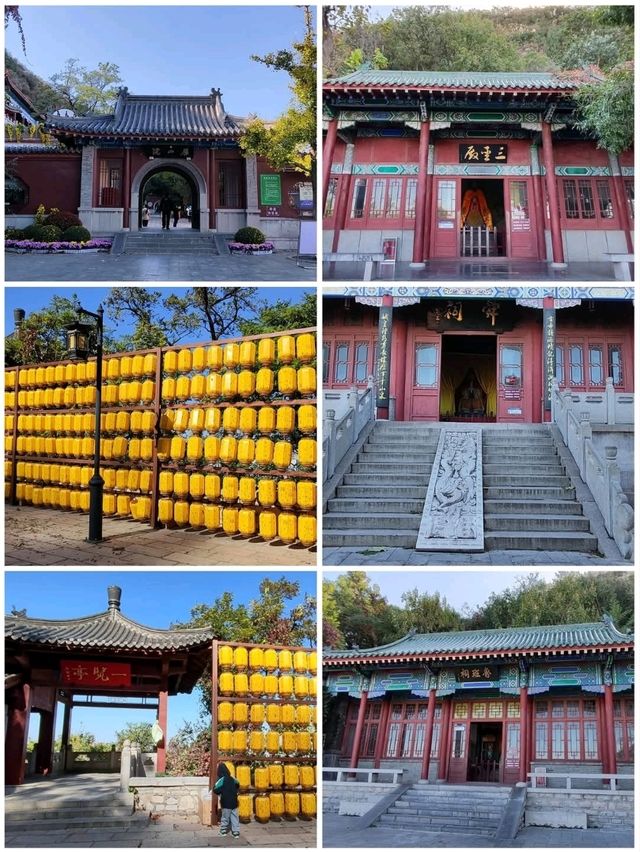 千佛山仰望眾佛