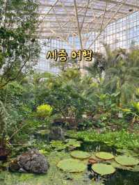 자연과 문화를 즐기기 좋은 세종!