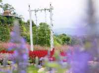 The peak flower land