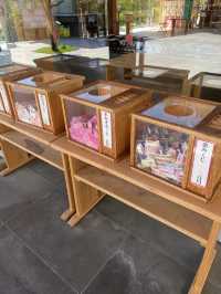 【東京都神楽坂🇯🇵赤城神社】有名な建築家がデザイン☺️おしゃれな雰囲気のパワースポット