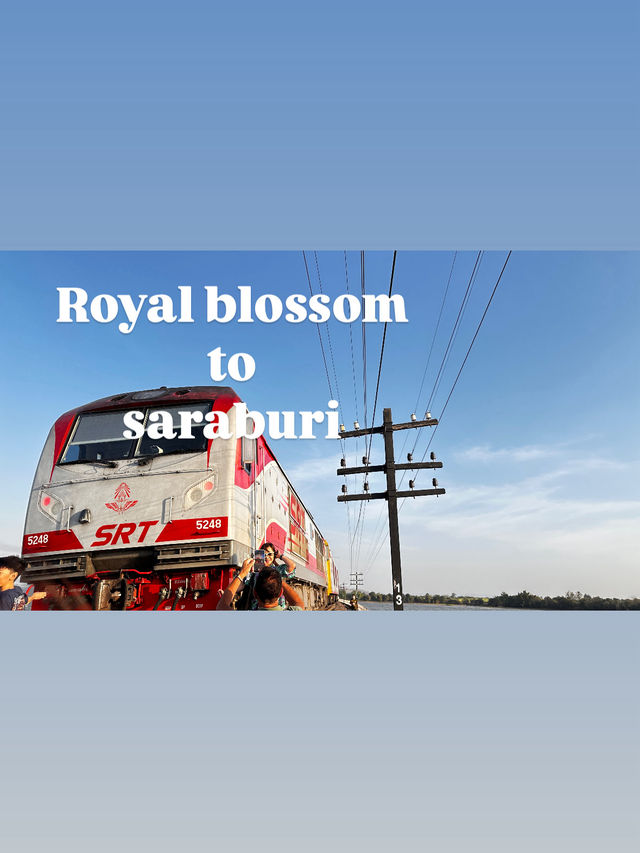 นั่ง Royal blossom ไปหาความสุขกัน