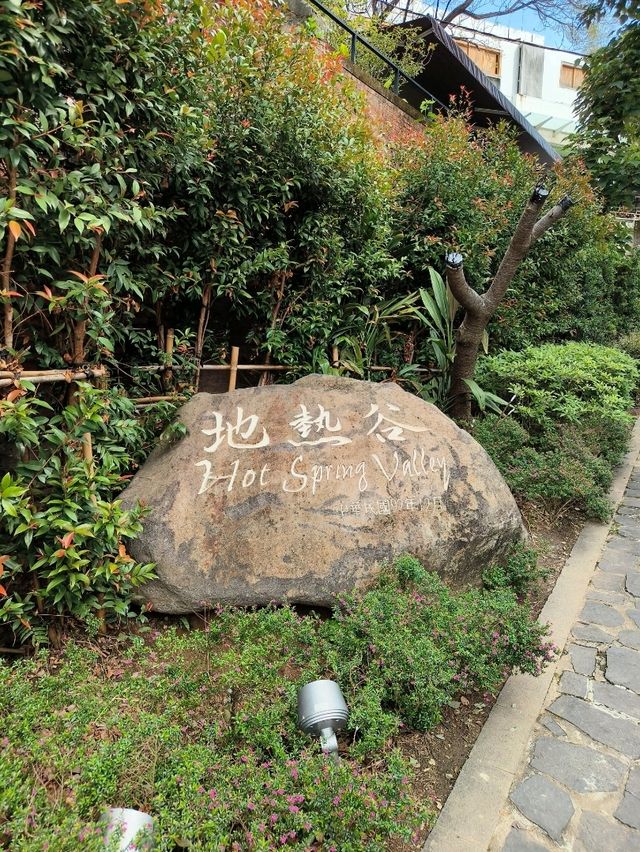 Misty Magic & Hot Spring Snacks in Taiwan
