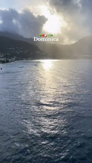 Roseau