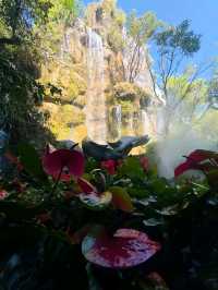 Where Coffee Meets Fairyland in Chiang Rai