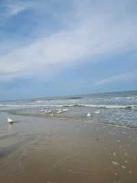 MORE THAN Beach & Cafe