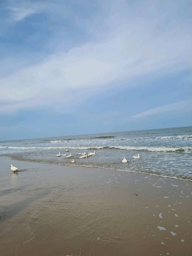 MORE THAN Beach & Cafe