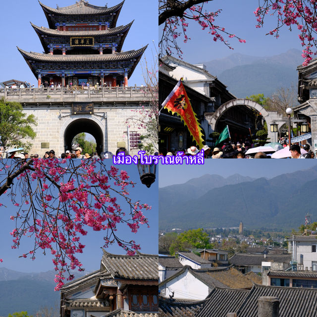 เที่ยวเมืองโบราณต้าหลี่