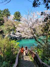 Jeju City: Where Volcanic Beauty Meets Island Charm