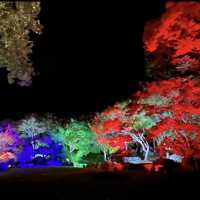 耶馬溪ダム記念公園 溪石園