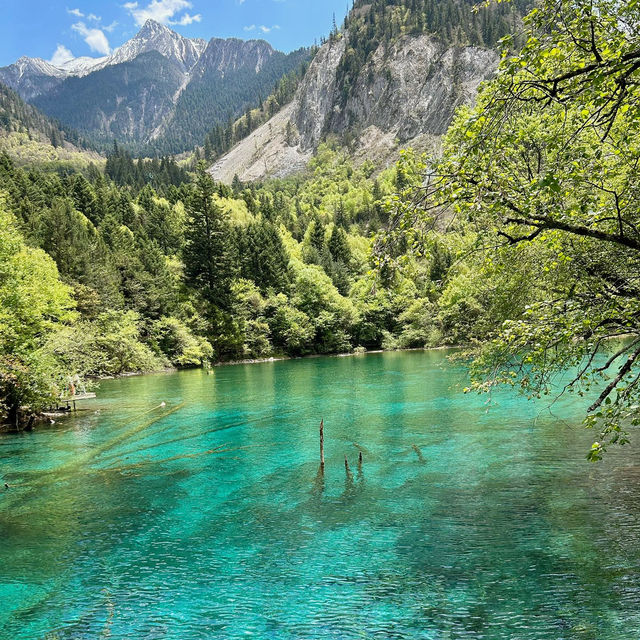 Jiuzhai Valley National Park
