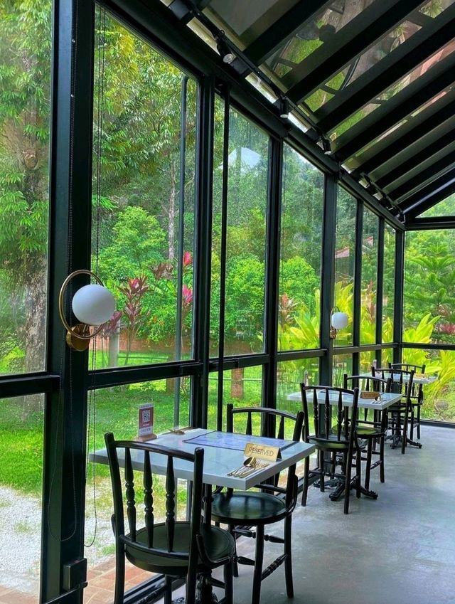 🏞️ Scenic Dining Delight: A Taste of Red Brick Kitchen, Ipoh.🍛🍗🥗🍔☕🥞