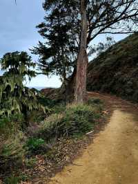 Gold Rush Dreams: Trekking the California Trail