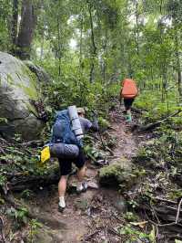 🌧️ เที่ยวหน้าฝน…พิชิตสันหนอกวัว ⛰️
