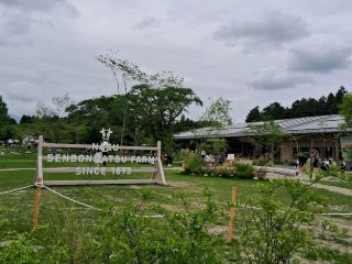 Visit the Renewed Ranch in Tochigi This Spring 2025!