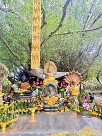 อุดรธานี - บึงกาฬ เส้นทางสายมูที่มีบรรยากาศสุดขลัง