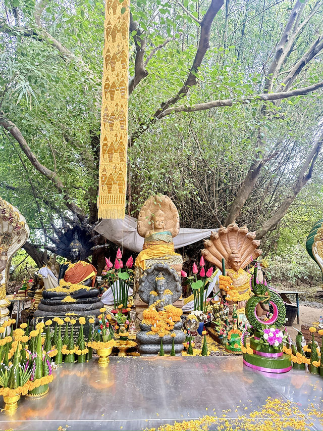 อุดรธานี - บึงกาฬ เส้นทางสายมูที่มีบรรยากาศสุดขลัง