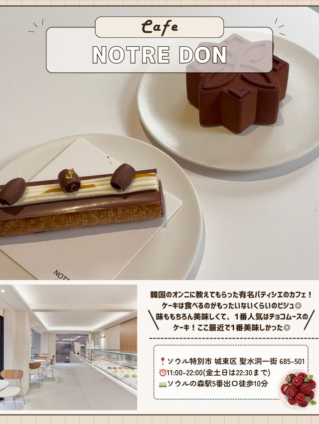 🇰🇷🌳ソウルの森で1日！穴場巡り編✨