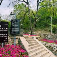 자연과 어우러진 평화로운 장성 산책
