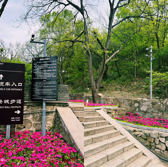 자연과 어우러진 평화로운 장성 산책