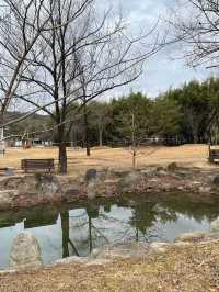 Juknokwon – Bamboo Serenity in Damyang