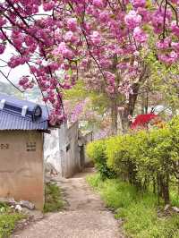 전주 당일치기 여행 🌸