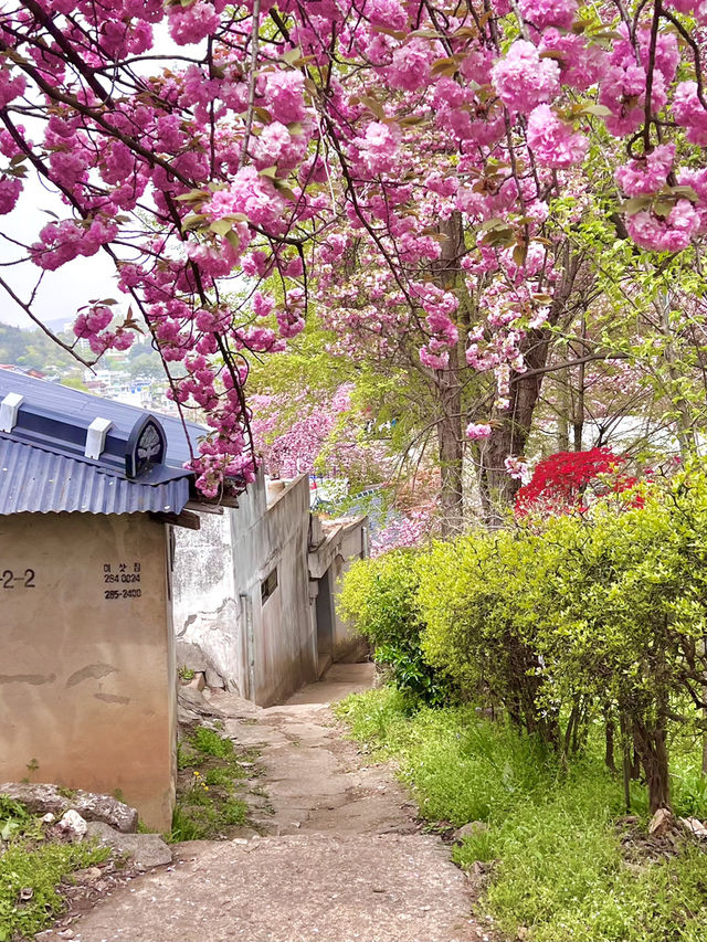 전주 당일치기 여행 🌸